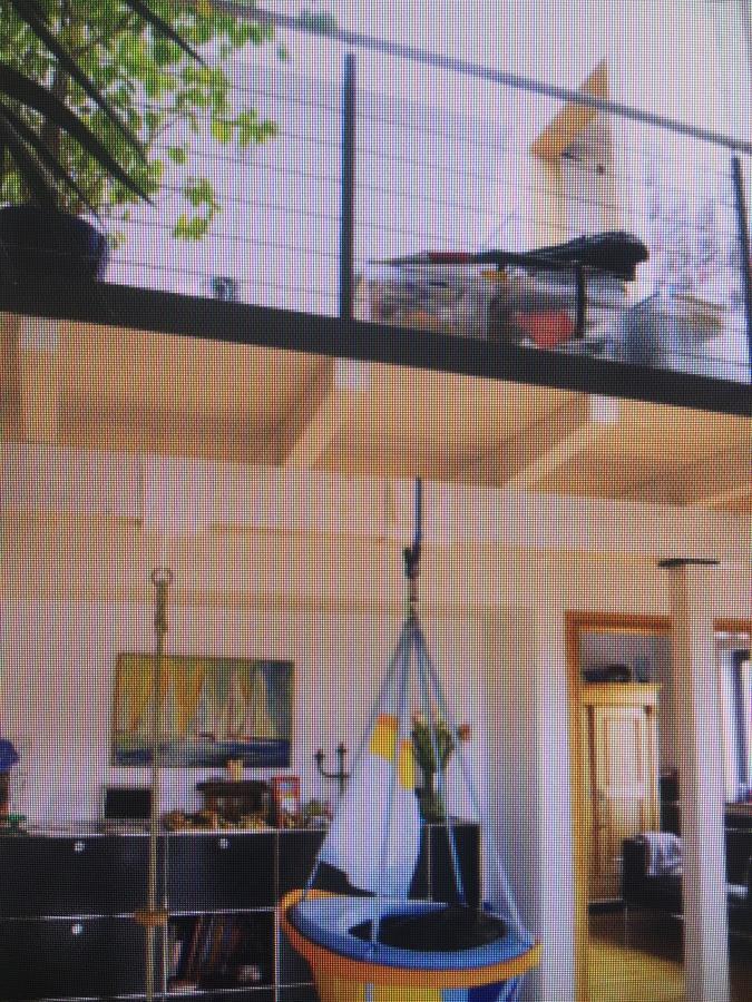 Gaestehaus/Fewos/Boardinghaus Lueneburg Sued エクステリア 写真